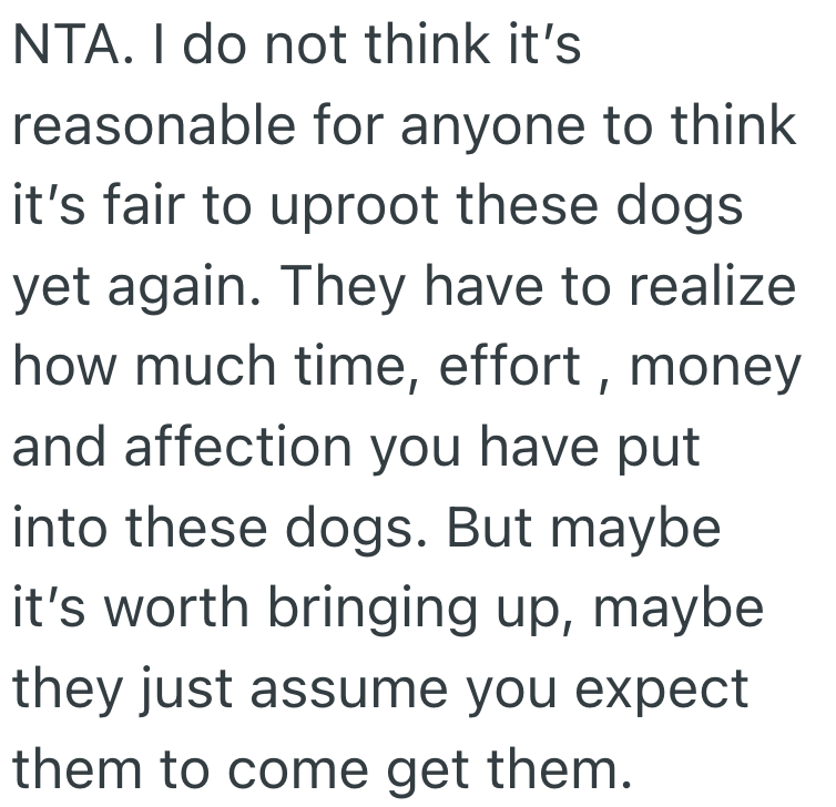 Screenshot 2025 07 08 at 9.07.14 PM They Fostered A Family Members Dogs And Spent Tons On Vet Bills, And Now They Want To Keep Them And Give Them A Better Life